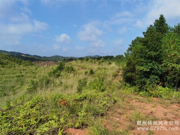 大庆市带着徒弟上山学杨公风水现场操作